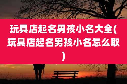 玩具店起名男孩小名大全(玩具店起名男孩小名怎么取)