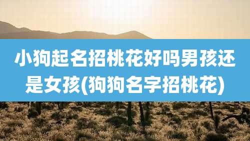 小狗起名招桃花好吗男孩还是女孩(狗狗名字招桃花)
