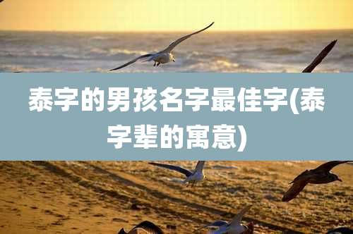 泰字的男孩名字最佳字(泰字辈的寓意)