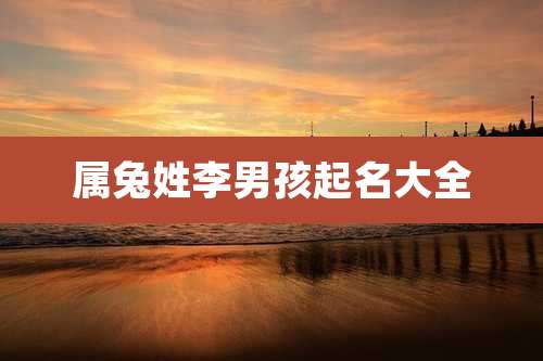 属兔姓李男孩起名大全