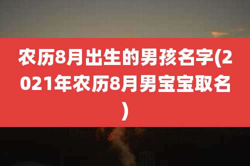 农历8月出生的男孩名字(2021年农历8月男宝宝取名)