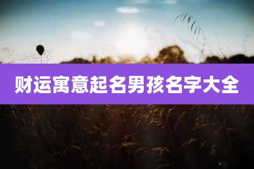 财运寓意起名男孩名字大全