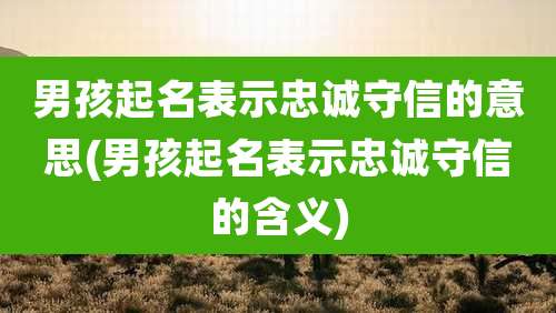 男孩起名表示忠诚守信的意思(男孩起名表示忠诚守信的含义)