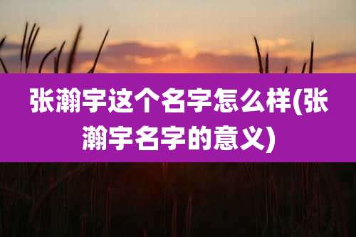张瀚宇这个名字怎么样(张瀚宇名字的意义)