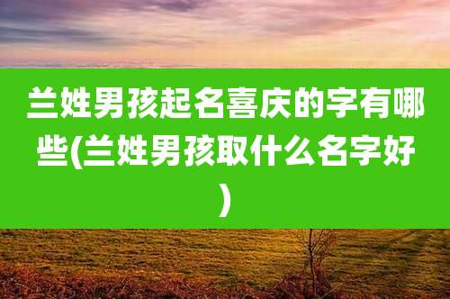 兰姓男孩起名喜庆的字有哪些(兰姓男孩取什么名字好)