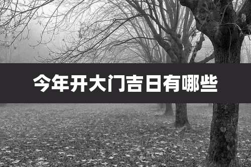 今年开大门吉日有哪些