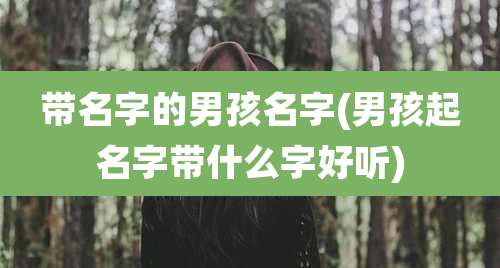 带名字的男孩名字(男孩起名字带什么字好听)