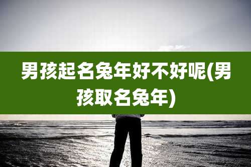 男孩起名兔年好不好呢(男孩取名兔年)