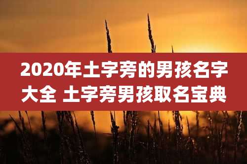 2020年土字旁的男孩名字大全 土字旁男孩取名宝典
