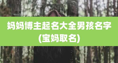 妈妈博主起名大全男孩名字(宝妈取名)
