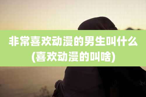 非常喜欢动漫的男生叫什么(喜欢动漫的叫啥)