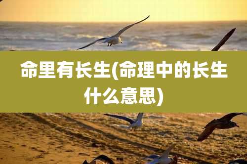 命里有长生(命理中的长生什么意思)