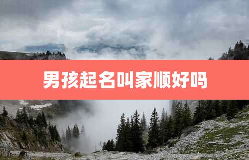 男孩起名叫家顺好吗