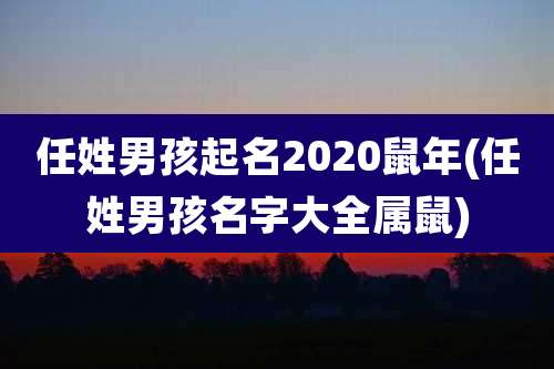 任姓男孩起名2020鼠年(任姓男孩名字大全属鼠)