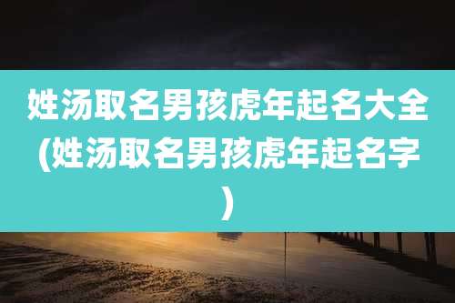 姓汤取名男孩虎年起名大全(姓汤取名男孩虎年起名字)