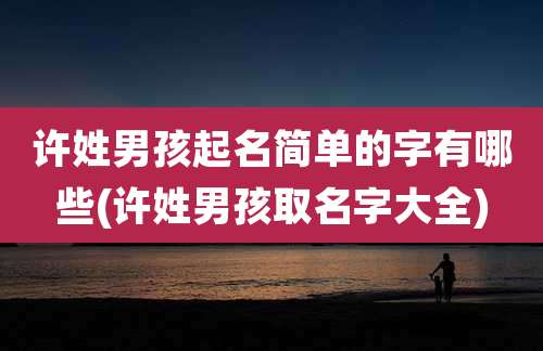 许姓男孩起名简单的字有哪些(许姓男孩取名字大全)