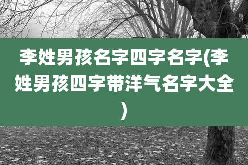 李姓男孩名字四字名字(李姓男孩四字带洋气名字大全)