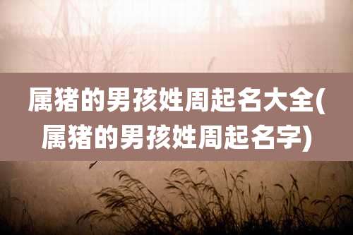 属猪的男孩姓周起名大全(属猪的男孩姓周起名字)