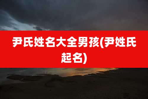 尹氏姓名大全男孩(尹姓氏起名)