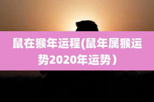 鼠在猴年运程(鼠年属猴运势2020年运势)
