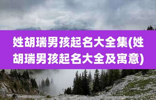 姓胡瑞男孩起名大全集(姓胡瑞男孩起名大全及寓意)