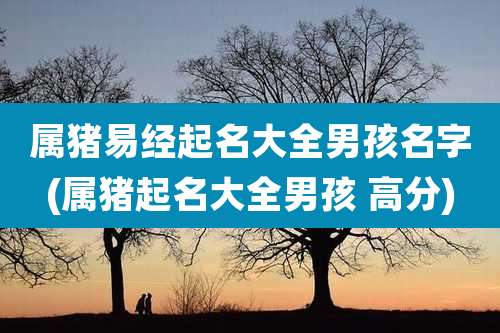 属猪易经起名大全男孩名字(属猪起名大全男孩 高分)