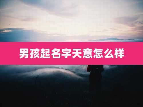 男孩起名字天意怎么样