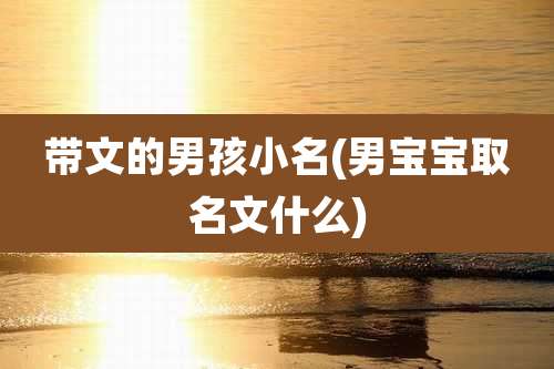 带文的男孩小名(男宝宝取名文什么)