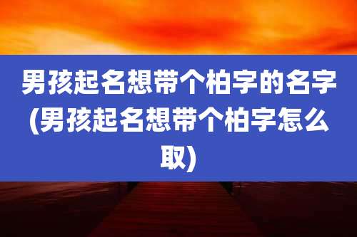男孩起名想带个柏字的名字(男孩起名想带个柏字怎么取)