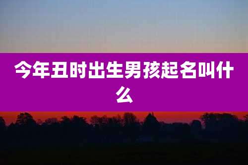 今年丑时出生男孩起名叫什么