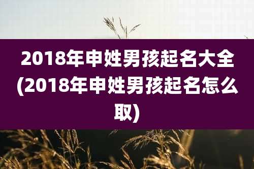 2018年申姓男孩起名大全(2018年申姓男孩起名怎么取)
