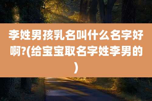 李姓男孩乳名叫什么名字好啊?(给宝宝取名字姓李男的)