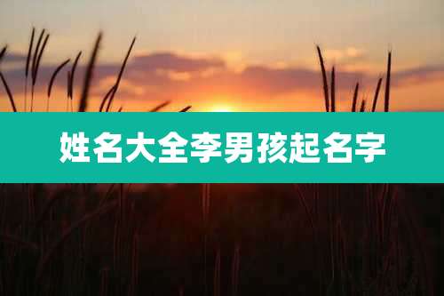 姓名大全李男孩起名字