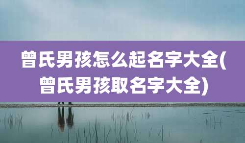 曾氏男孩怎么起名字大全(曾氏男孩取名字大全)
