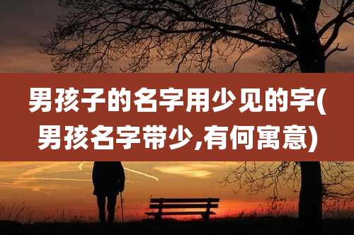 男孩子的名字用少见的字(男孩名字带少,有何寓意)