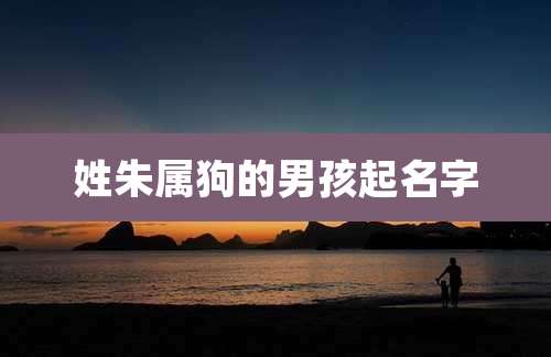姓朱属狗的男孩起名字