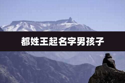 都姓王起名字男孩子