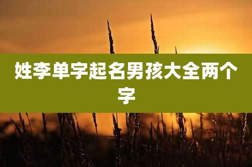 姓李单字起名男孩大全两个字