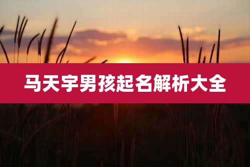 马天宇男孩起名解析大全