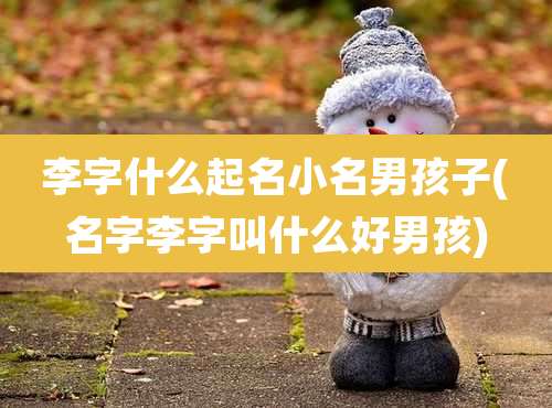 李字什么起名小名男孩子(名字李字叫什么好男孩)