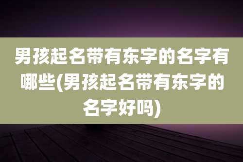 男孩起名带有东字的名字有哪些(男孩起名带有东字的名字好吗)