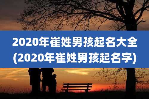 2020年崔姓男孩起名大全(2020年崔姓男孩起名字)