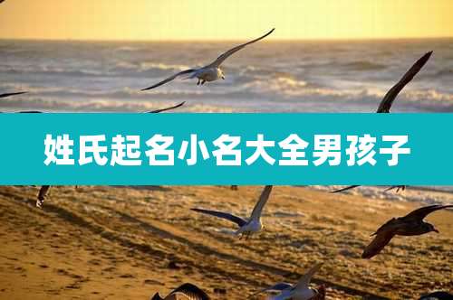 姓氏起名小名大全男孩子