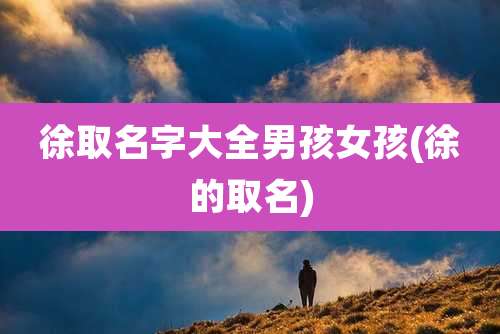 徐取名字大全男孩女孩(徐的取名)