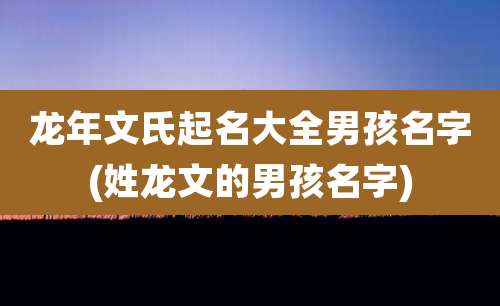 龙年文氏起名大全男孩名字(姓龙文的男孩名字)