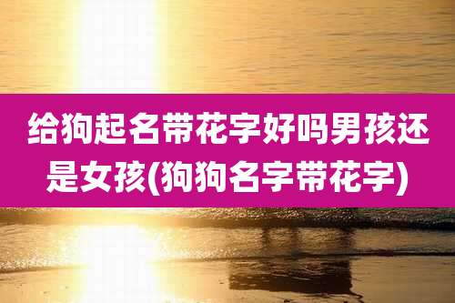 给狗起名带花字好吗男孩还是女孩(狗狗名字带花字)