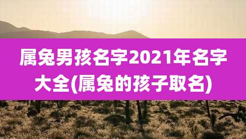 属兔男孩名字2021年名字大全(属兔的孩子取名)