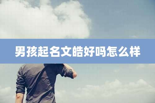 男孩起名文皓好吗怎么样