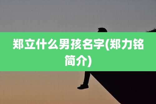 郑立什么男孩名字(郑力铭简介)