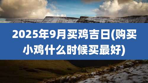 2025年9月买鸡吉日(购买小鸡什么时候买最好)